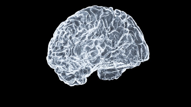 Brainmapping, Neurofeedback & r-TMS Pilar Terapi Gambling Addiction